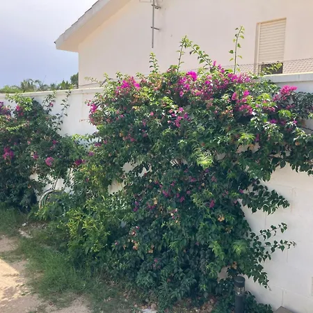 El Balcon De Lolita Conil De La Frontera